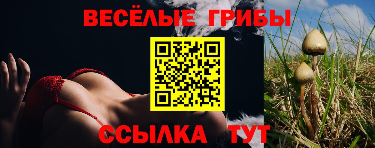 купить закладку  Псилоцибиновые грибы ЛСД  Вход с VPN  Псилоцибиновые грибы GOLDEN TEACHER  Мирный 